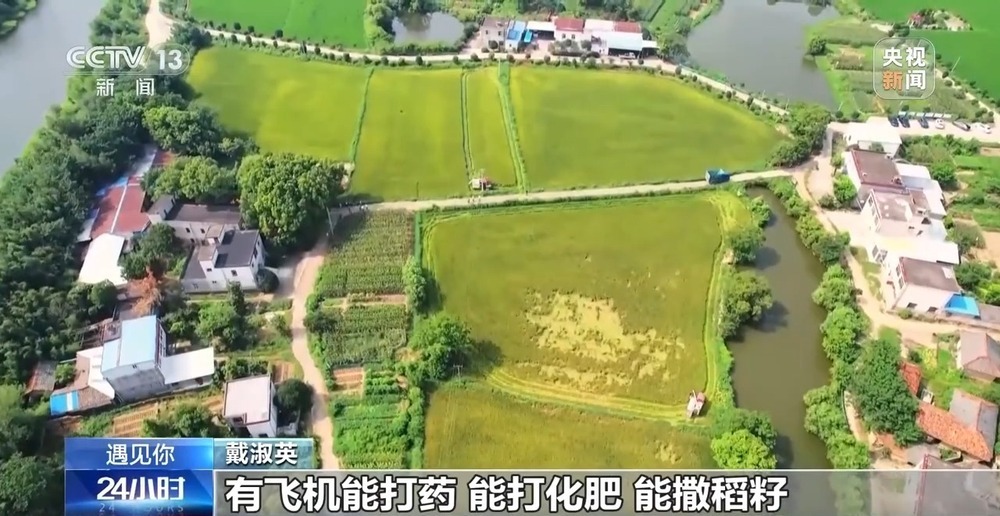 遇见你丨“80”后种田奶奶化身新农人 操作无人机满田飞 遇见你丨“80”后种田奶奶化身新农人 操作无人机满田飞