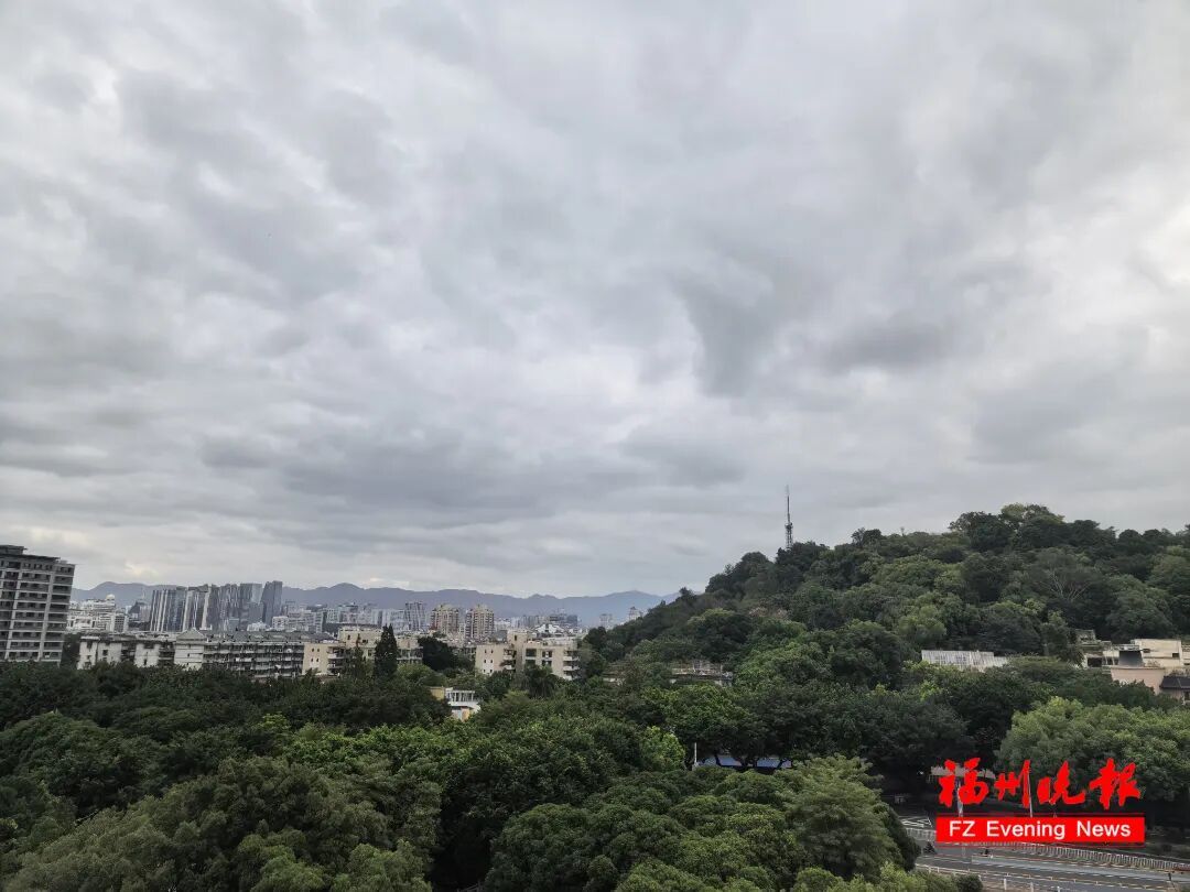 最强17级以上！台风“凤凰”路径大拐弯！福建将迎大雨暴雨