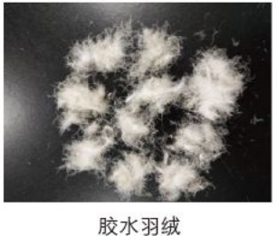 这种羽绒服穿得越久,危害越大! 这种羽绒服穿得越久,危害越大!