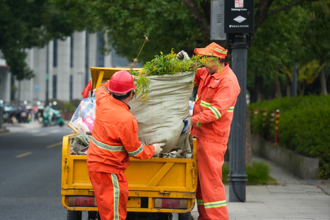 杭州多地已出现，看见立即上报！切记不要直接动手