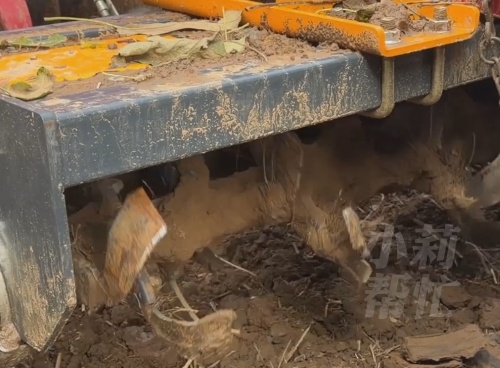 “一条腿换回一条命”残疾大哥为救老人不慎当场失去左腿，被救者家属下跪感谢