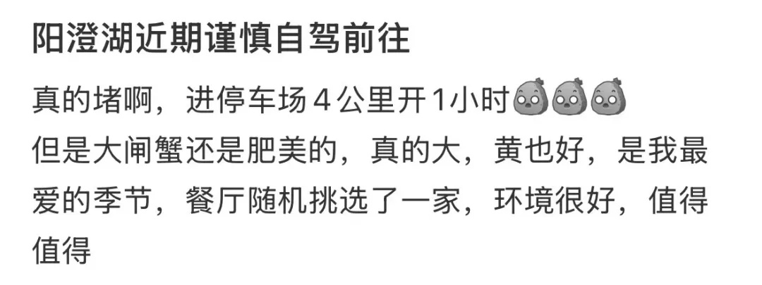 “沪牌大军”集体出动！“往返8.5小时，吃饭1小时”！这里堵车堵到猪肝红……