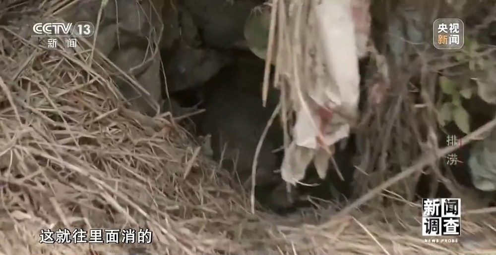 广西百色排涝情况如何？记者探访受灾村屯