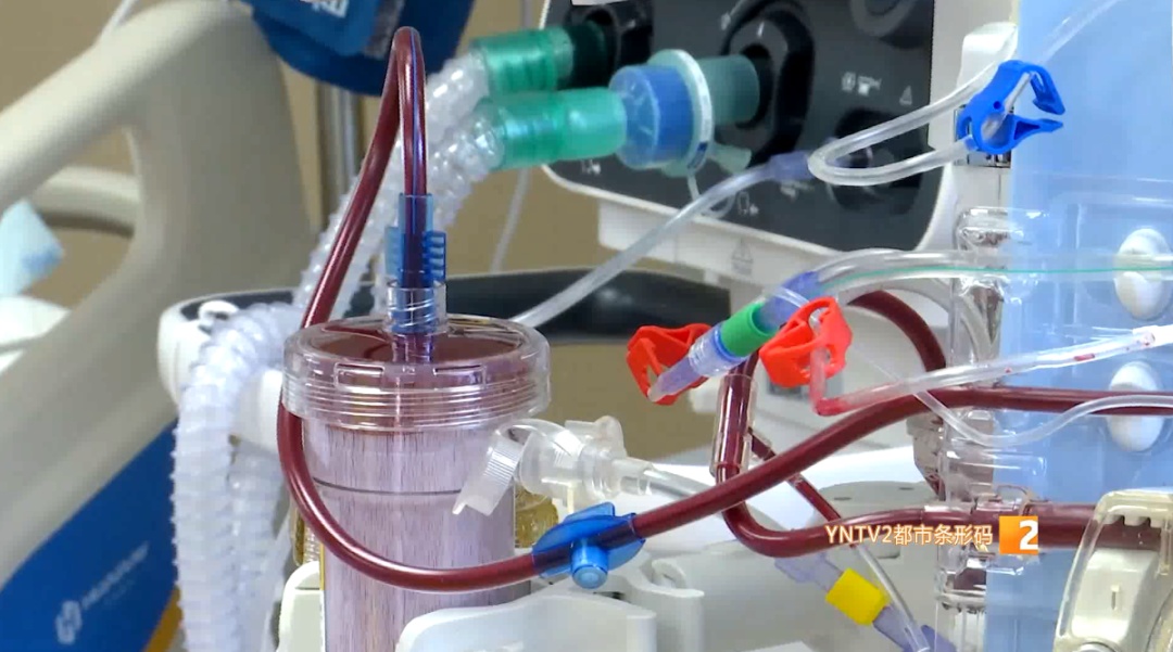 当心！秋冬这碗“补汤”不能喝！昆明已有人中毒昏迷，3-5毫克可致死