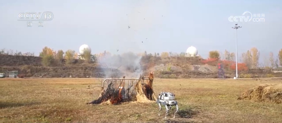 全国消防日 | 筑牢安全防线 各地奏响"119"交响曲