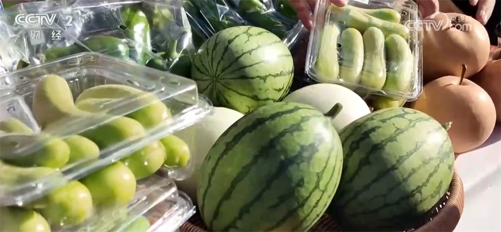 神州大地铺展层林尽染美丽画卷 “赏叶经济”激发多元消费业态新活力 神州大地铺展层林尽染美丽画卷 “赏叶经济”激发多元消费业态新活力