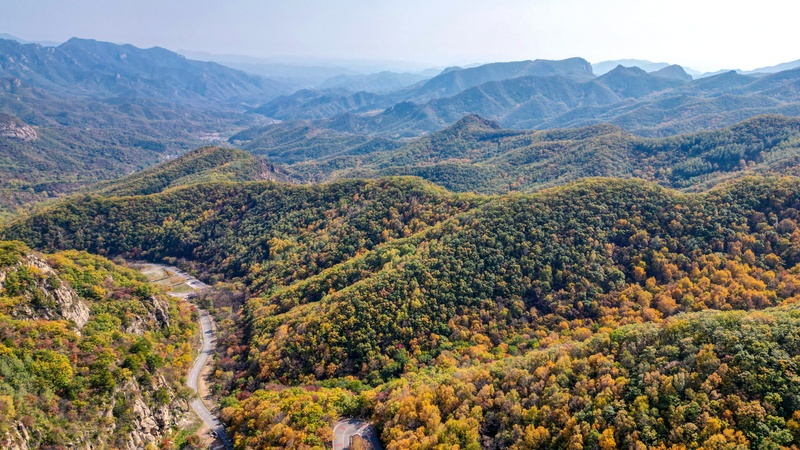 北京进入森林防火期，全市严密布控防火工作