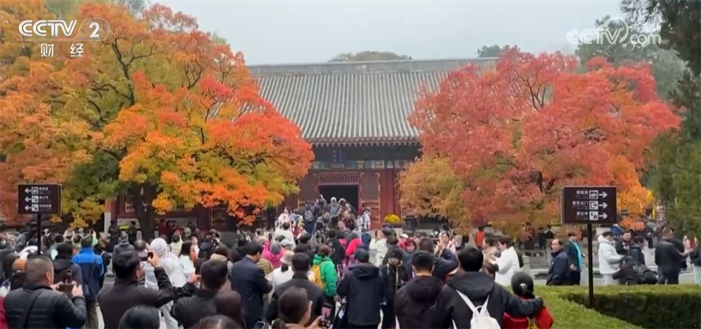 神州大地铺展层林尽染美丽画卷 “赏叶经济”激发多元消费业态新活力 神州大地铺展层林尽染美丽画卷 “赏叶经济”激发多元消费业态新活力