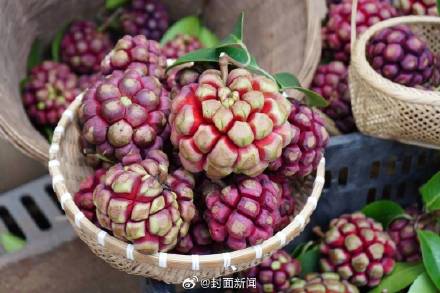 海贼王现实版恶魔果实惊现成都