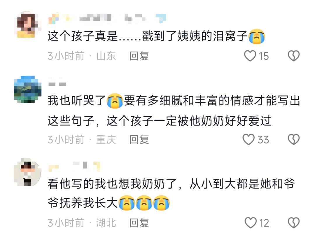 14岁初中生作文，看哭全网……