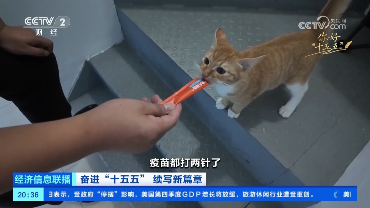 如何从住有所居到住有优居？看三城三人的安居故事