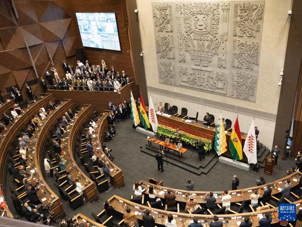 帕斯宣誓就任玻利维亚总统