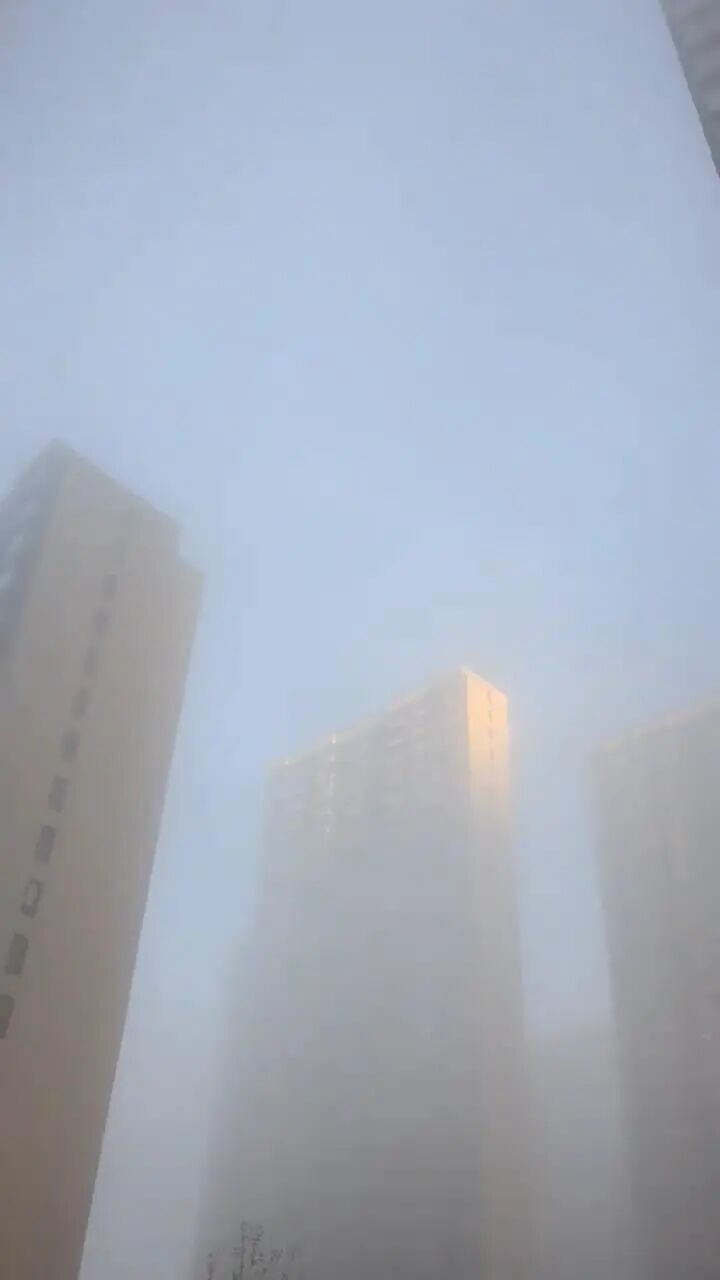 沈阳多地出现强浓雾，能见度不足200米，市民：一觉醒来到了“天宫”