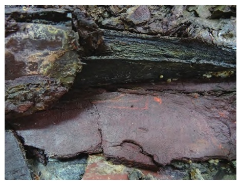 首次发现！海昏侯墓出土秦汉时期全本《诗经》