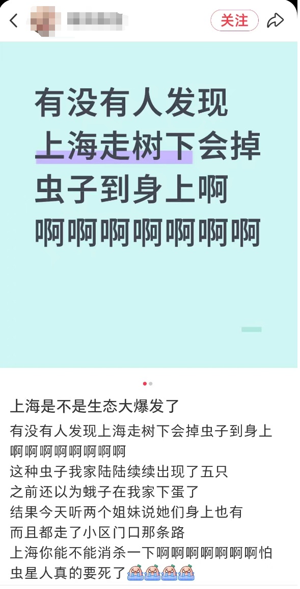 “一边咬一边往里钻…”被啃得都是窟窿！上海人哀嚎：还有不明粘液