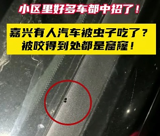 “一边咬一边往里钻…”被啃得都是窟窿！上海人哀嚎：还有不明粘液