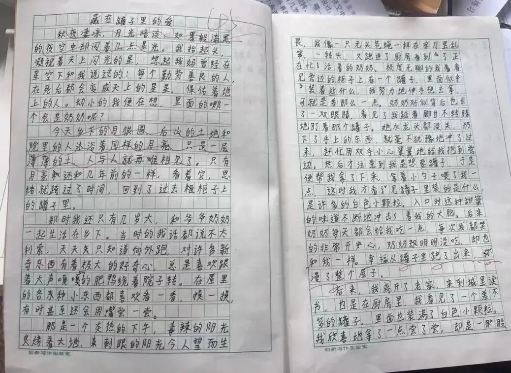 男生写作文看哭无数网友，怀念去世奶奶“只是一层薄薄的土……”