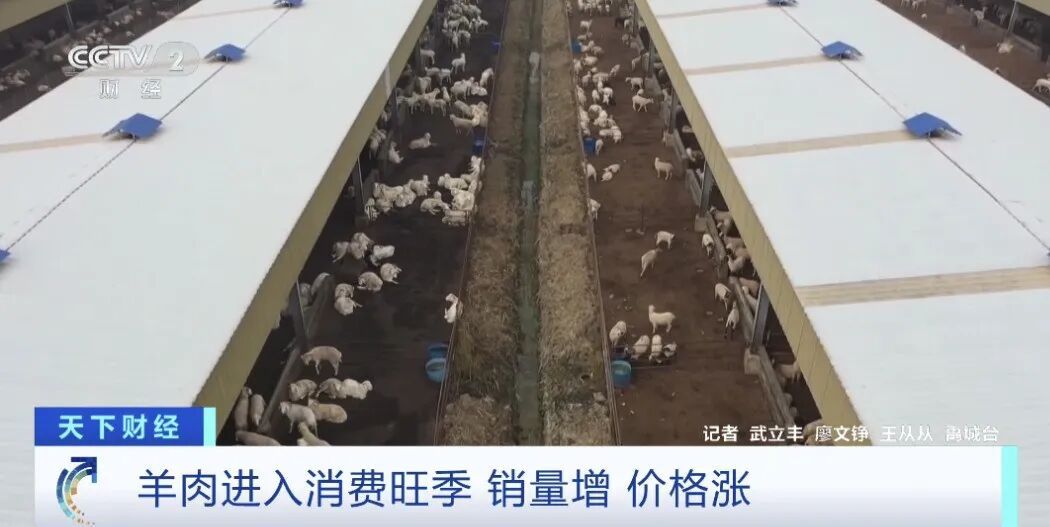 卖“爆”了！很多人冬天必吃，价格已连涨三周