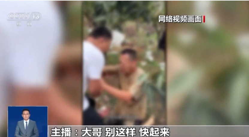 “双11”下单前注意!四类新型网购陷阱曝光 “双11”下单前注意!四类新型网购陷阱曝光