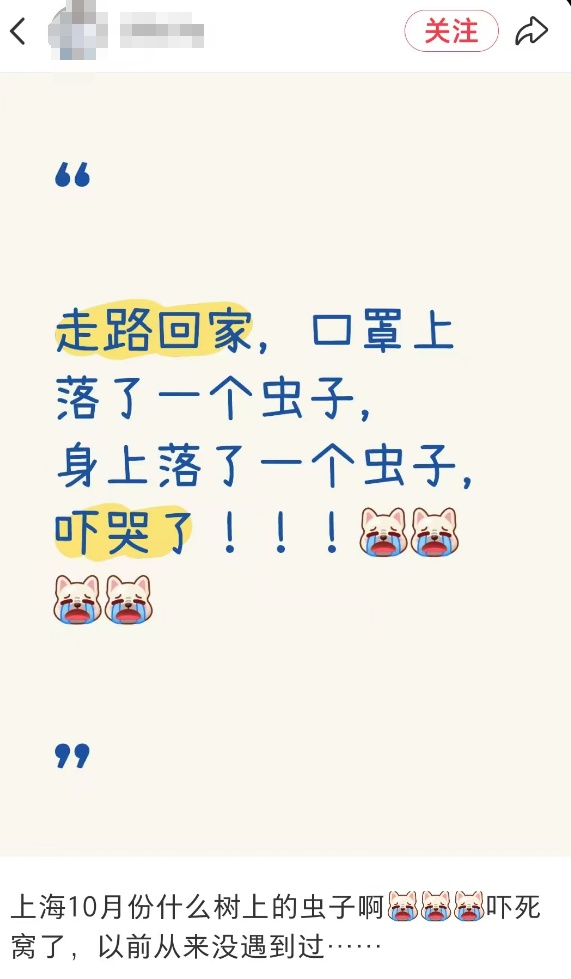 “一边咬一边往里钻…”被啃得都是窟窿！上海人哀嚎：还有不明粘液