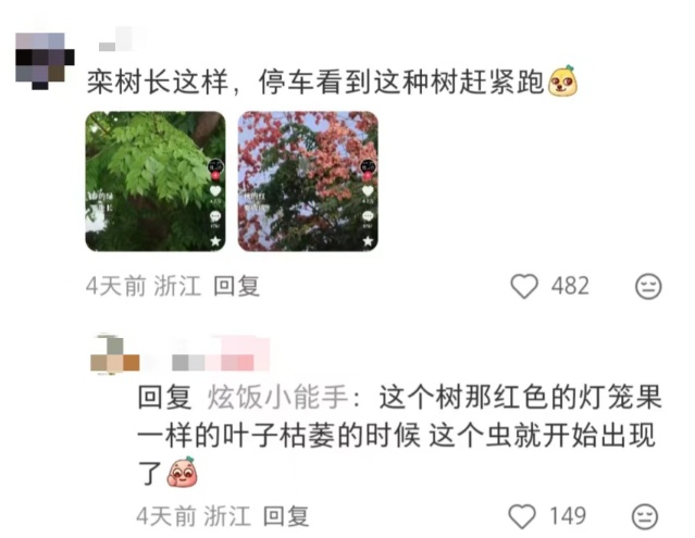 “一边咬一边往里钻…”被啃得都是窟窿！上海人哀嚎：还有不明粘液