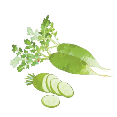 为什么“冬吃萝卜夏吃姜”（文化中国行·二十四节气二十四问）