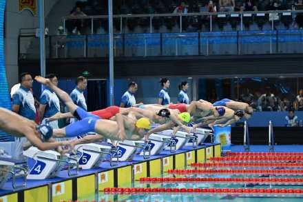 34岁孙杨第五次亮相全运会