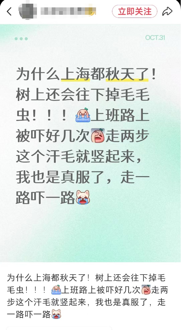 “一边咬一边往里钻…”被啃得都是窟窿！上海人哀嚎：还有不明粘液