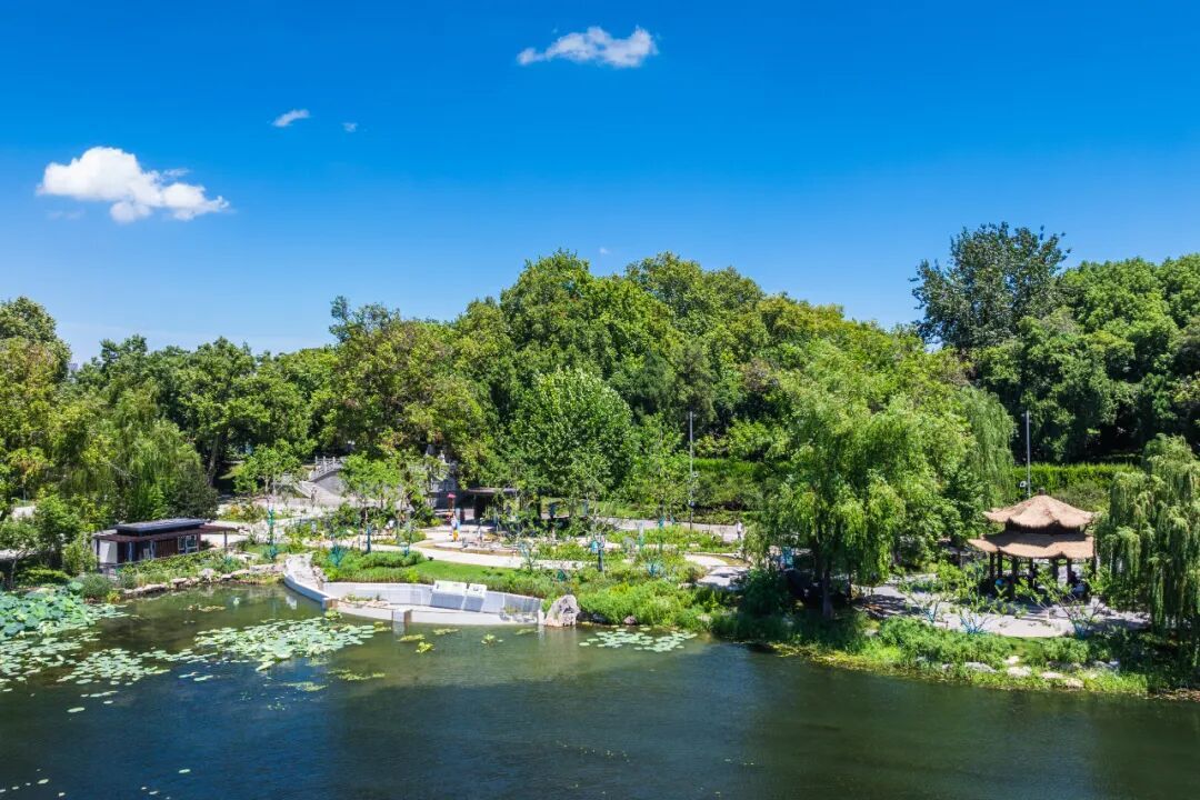 传疯了！玄武湖“大鱼缸”来了