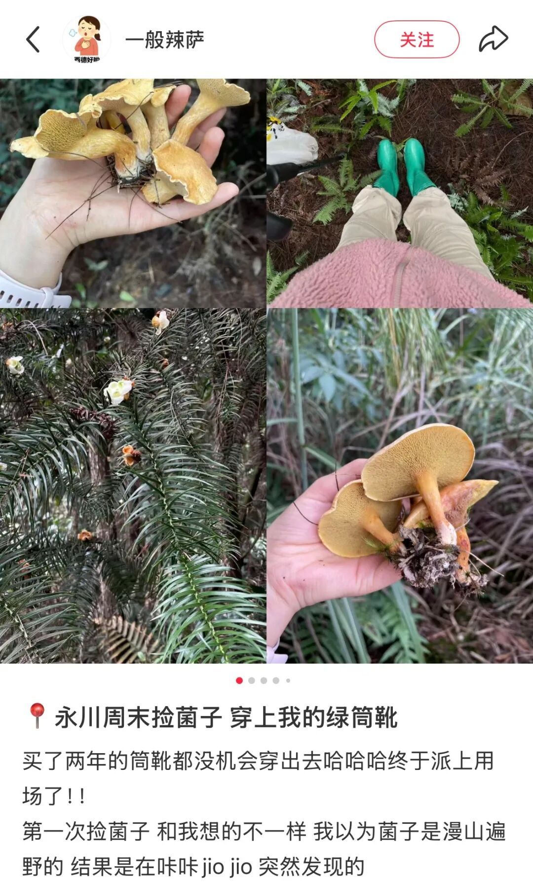 不要捡！不要吃！风险极高！正在重庆大量出现！