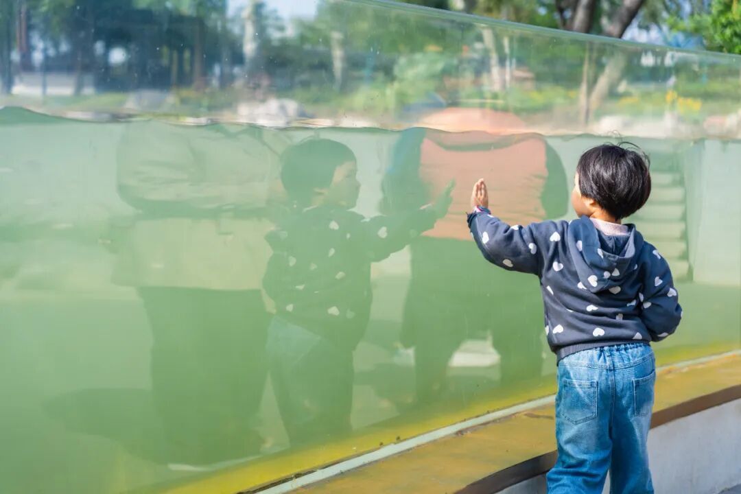 传疯了！玄武湖“大鱼缸”来了