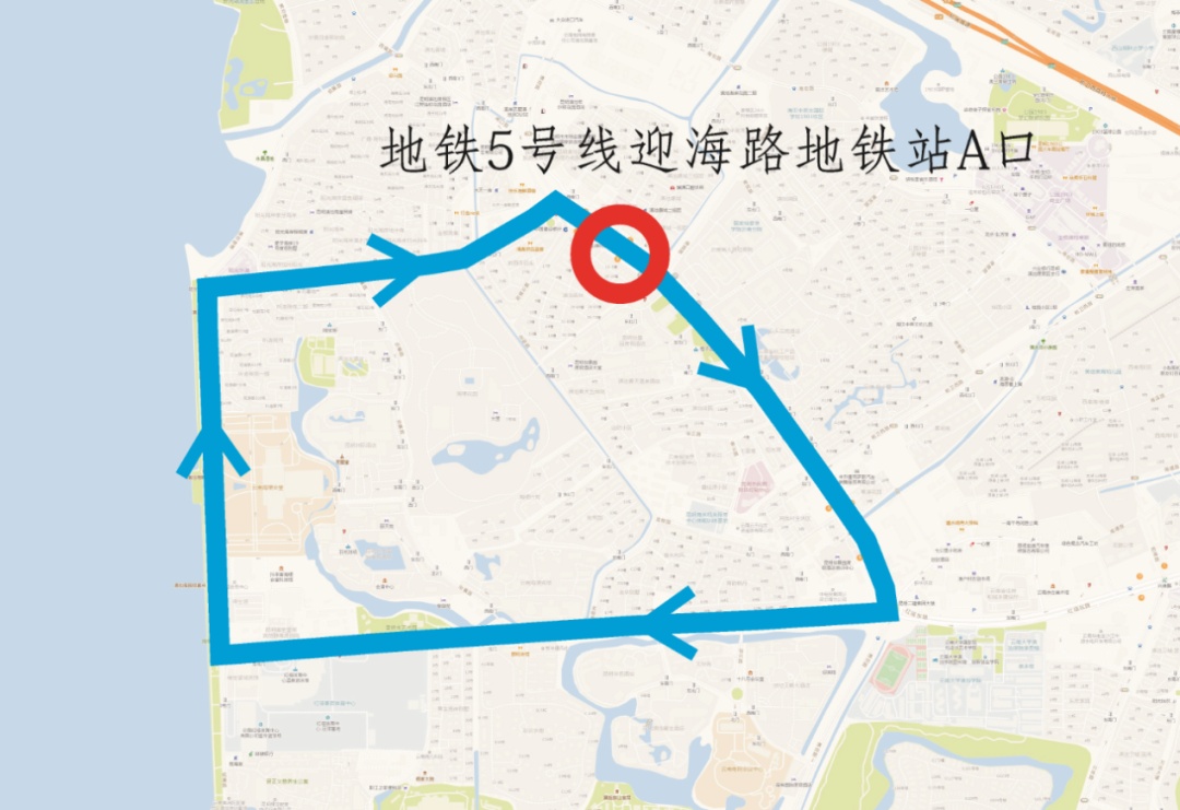 免费！昆明2条观鸥公交专线来了