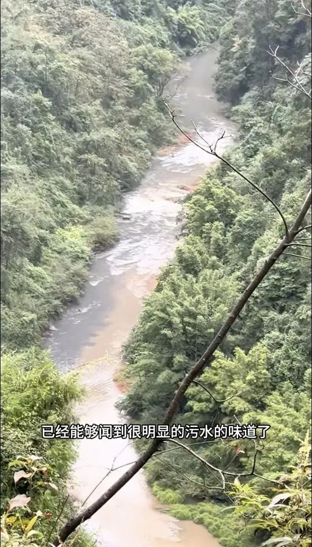 重庆发布通报：孝子河局部被污染，将坚决查处，绝不姑息