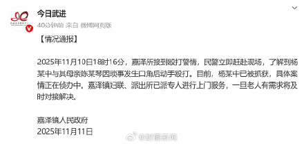 官方通报男子殴打93岁母亲 官方通报男子殴打93岁母亲