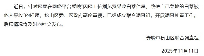 近200亩待收白菜因“网传免费”遭大规模哄抢,损失惨重?官方通报:已成立联合调查组 近200亩待收白菜因“网传免费”遭大规模哄抢,损失惨重?官方通报:已成立联合调查组