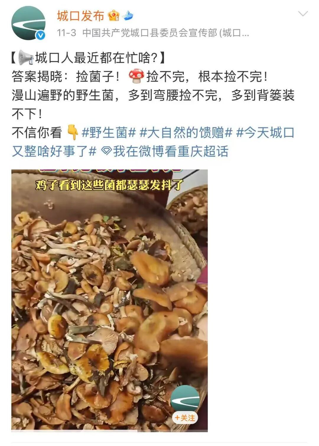 不要捡！不要吃！风险极高！正在重庆大量出现！