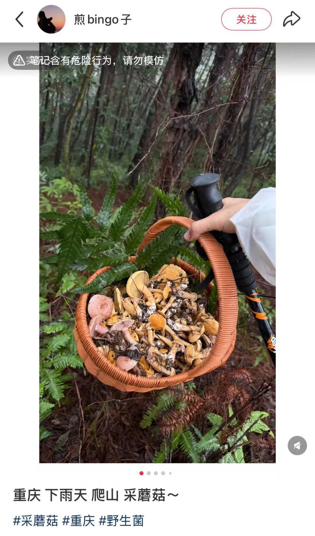 不要捡！不要吃！风险极高！正在重庆大量出现！