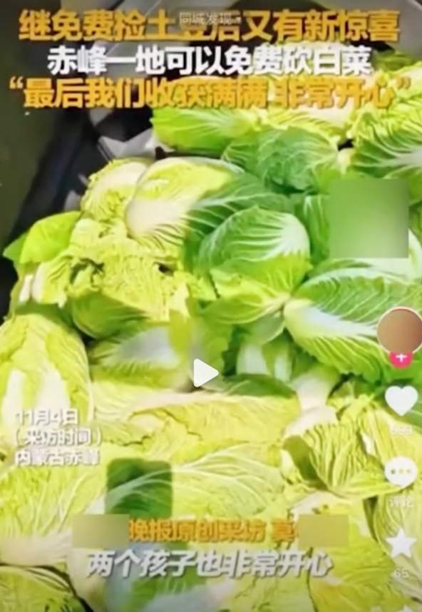 “白菜免费摘”视频疯传！谁在造谣？