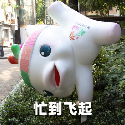 转发收藏！喜洋洋乐融融超萌表情包