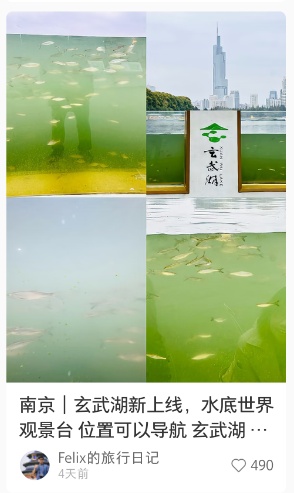 传疯了！玄武湖“大鱼缸”来了