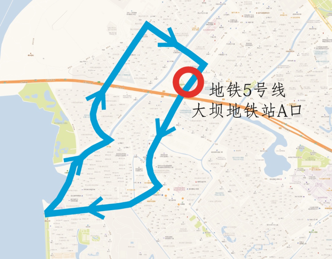 免费！昆明2条观鸥公交专线来了