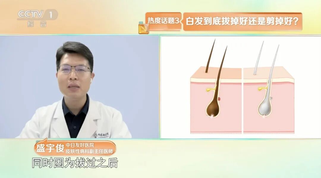 白发长在哪,病就从哪来?事关头发和你的健康,做好这4件事,帮你拥有一头秀发~ 白发长在哪,病就从哪来?事关头发和你的健康,做好这4件事,帮你拥有一头秀发~