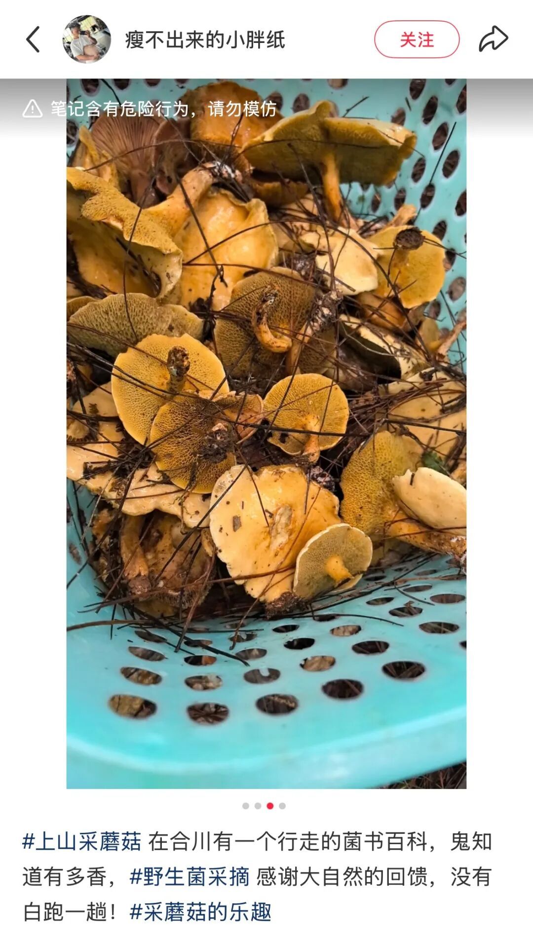 不要捡！不要吃！风险极高！正在重庆大量出现！