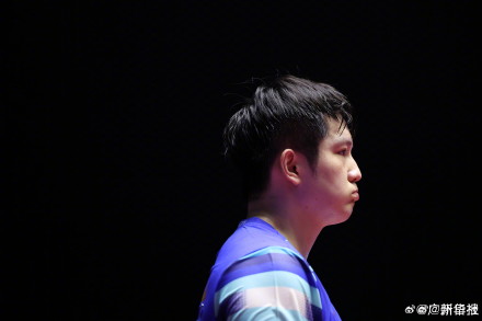 “暴力熊猫”高清图集！樊振东挺进男单8强