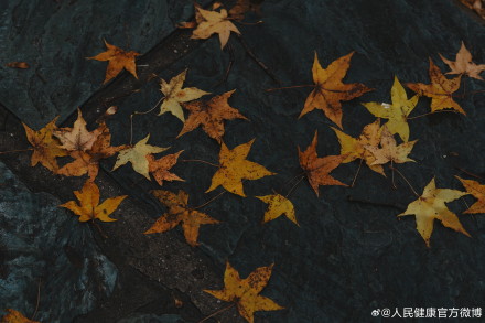 睡眠超9小时也可能有害