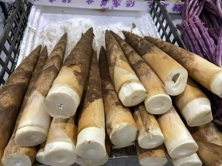 它竟然出现了！上海市民惊讶：现在到底是春季、秋季还是冬季？