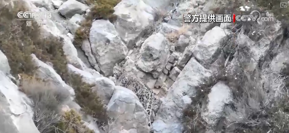 生态美让“稀客”有了安逸“冬季家园” 人与自然和谐共生美好景象频繁上演 生态美让“稀客”有了安逸“冬季家园” 人与自然和谐共生美好景象频繁上演