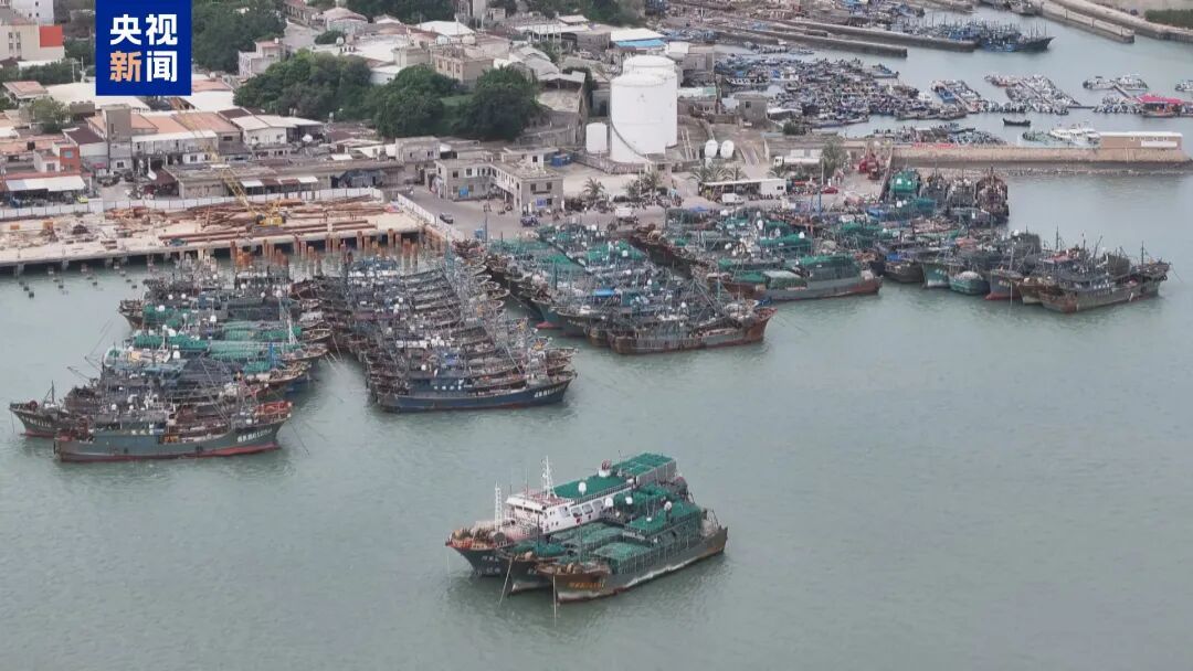 风雨马上到，上海要迎接冬天？下周最低仅4℃！“今年最大的台风”将影响这些地方→