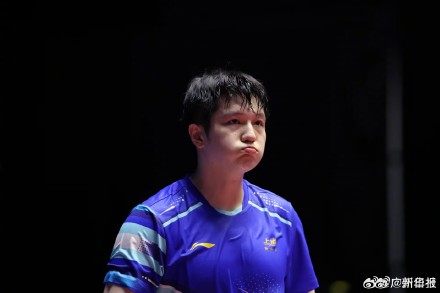 “暴力熊猫”高清图集！樊振东挺进男单8强