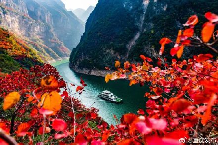 重庆红叶最佳观赏时间表出炉→